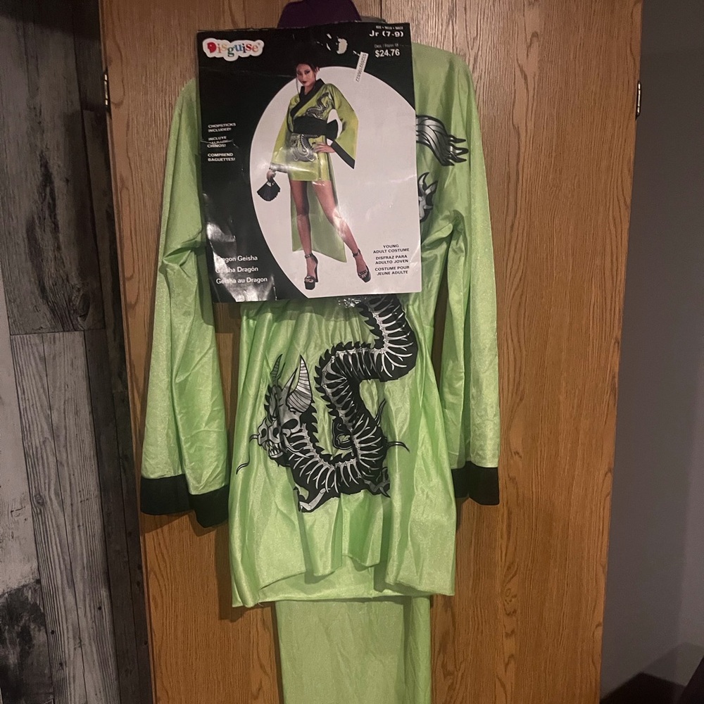 Green Dragon Costume with Black Accents